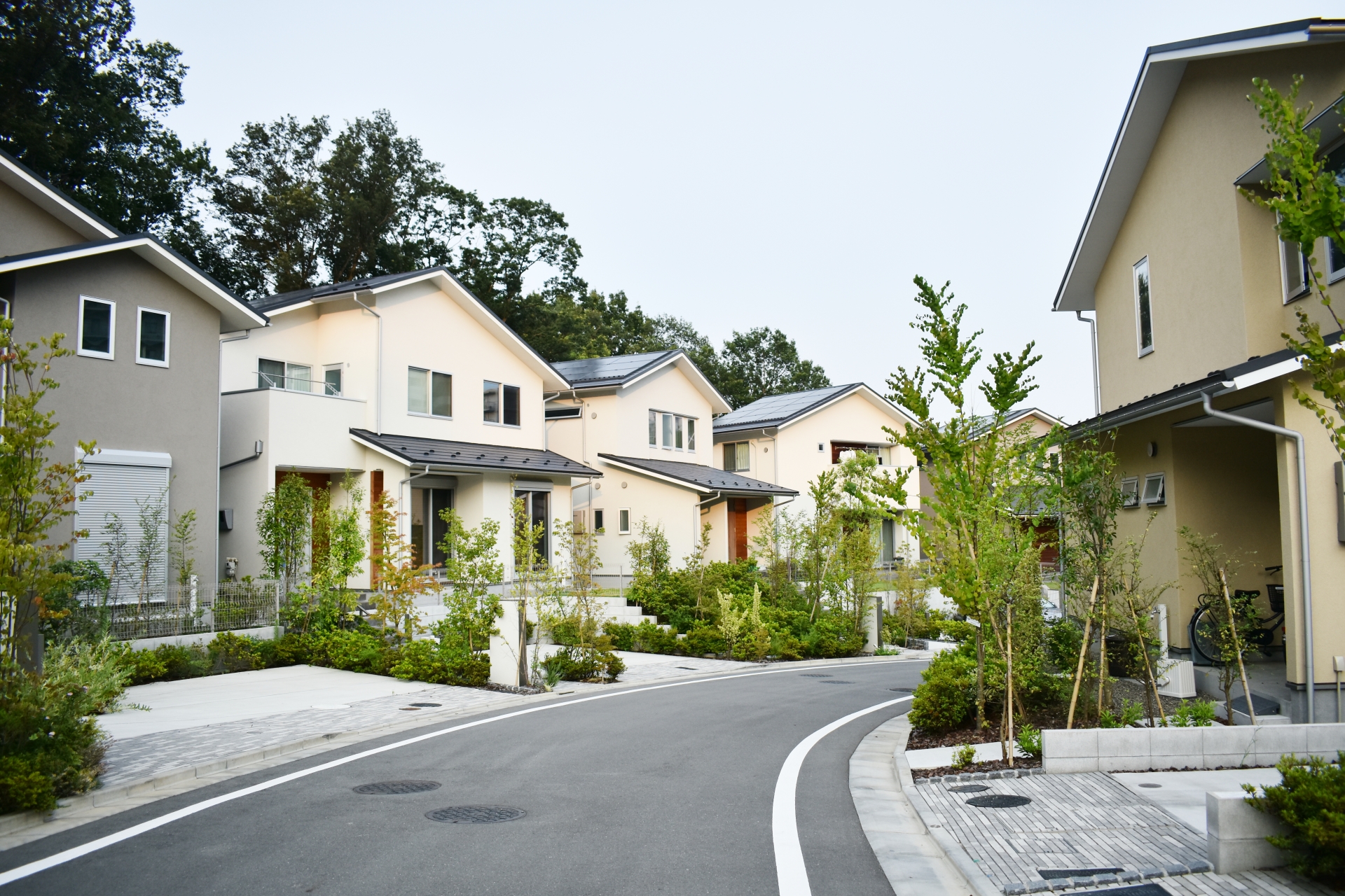 最新の一戸建て向け光回線選びを専門家がわかりやすく解説